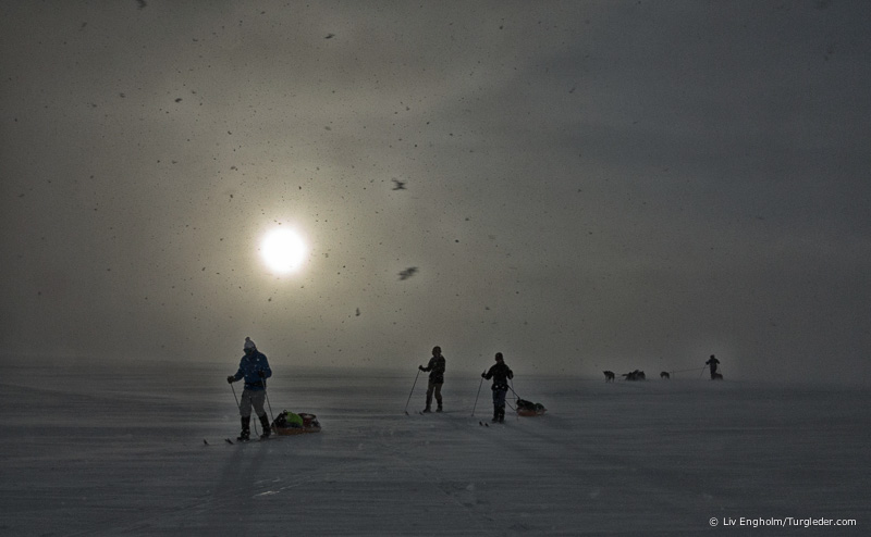 Finnmark Plateau West-East skiing expedition 